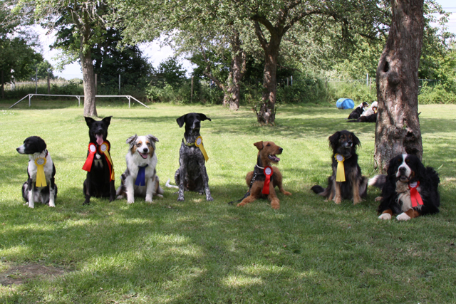 HSF-Degerloch-SOMMER FEST 14.09.2025-ab13.30Uhr